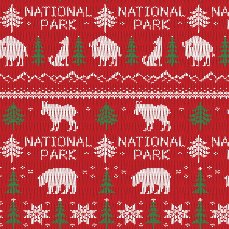 National Park Kitchen Towel - Printed Fair Isle Pattern