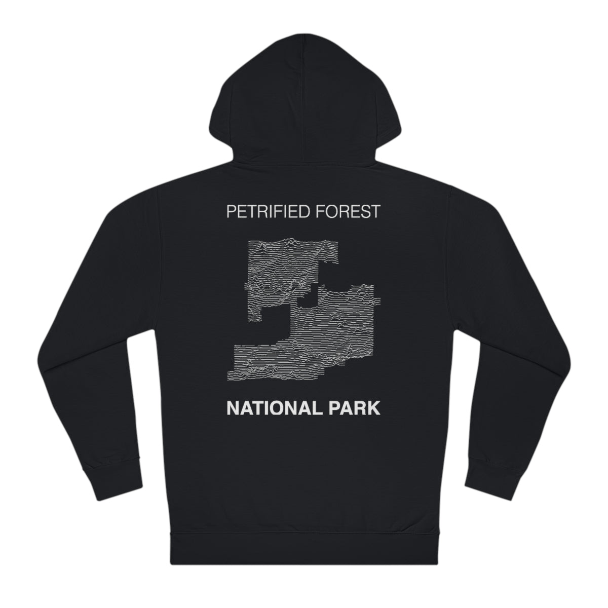 Petrified Forest National Park Hoodie - Lines
