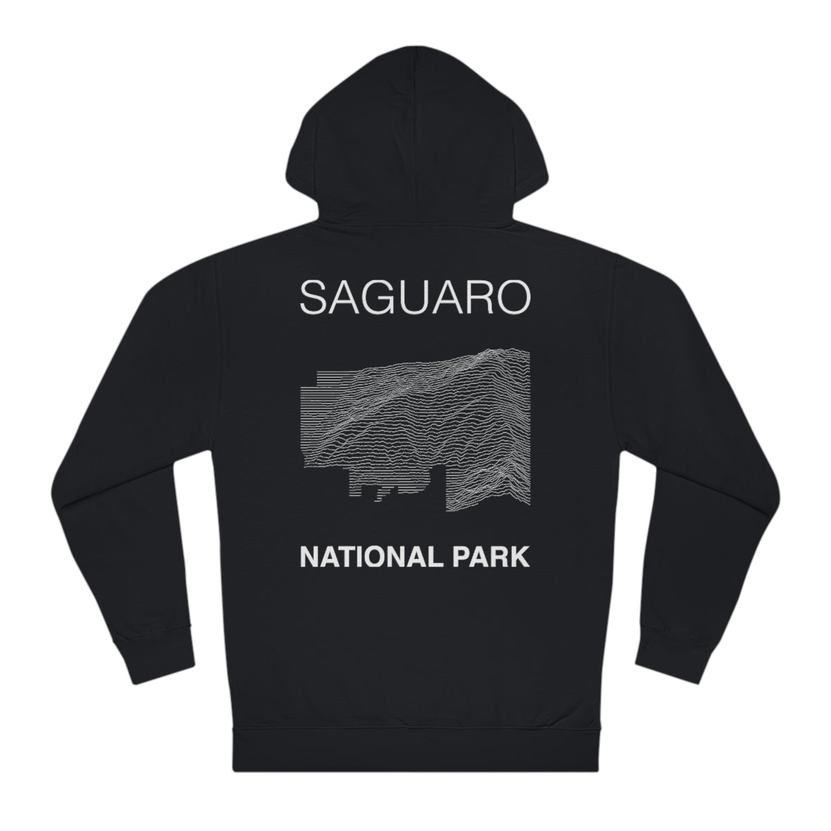Saguaro National Park Hoodie - Lines