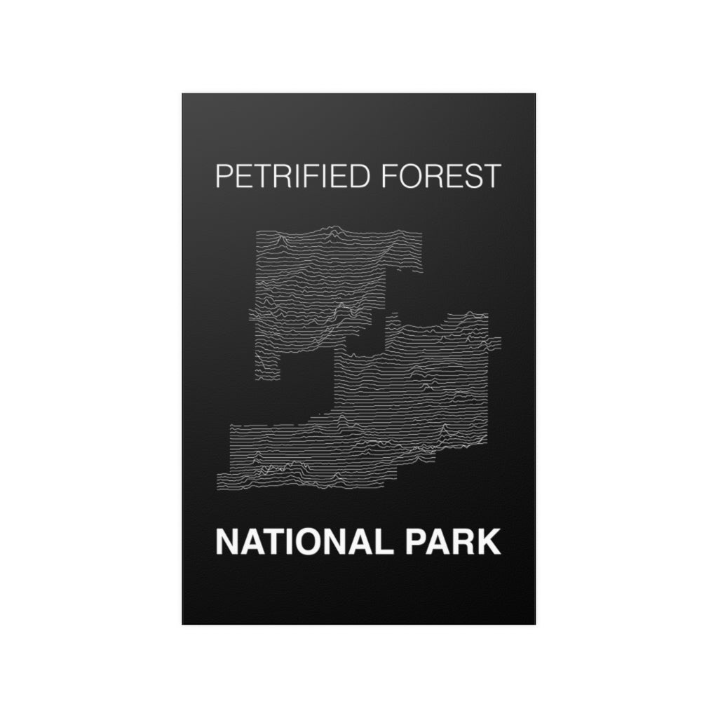 Petrified Forest National Park Poster - Unknown Pleasures Lines National Parks Partnership